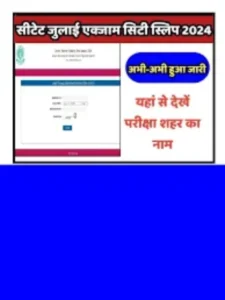 Live CTET Centre City Slip Out 2024